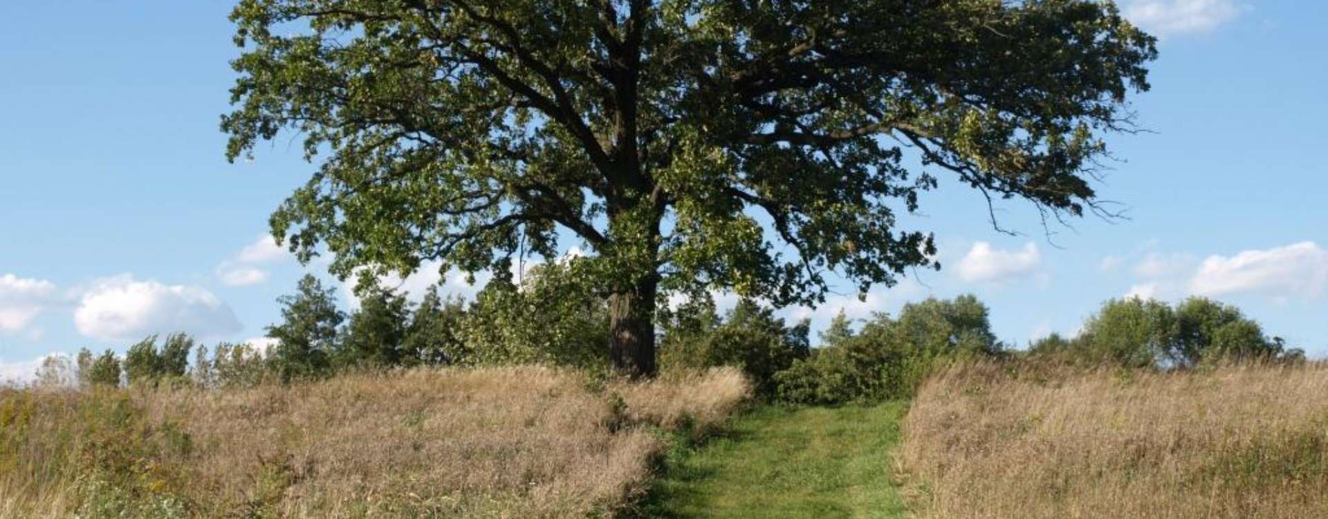 Contact Wadena Soil & Water Conservation District Contact Wadena Soil & Water Conservation District