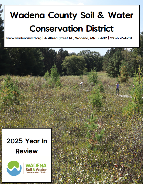 Year In Review Year In Review